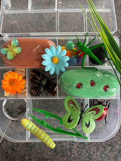 Spring Bugs Kit