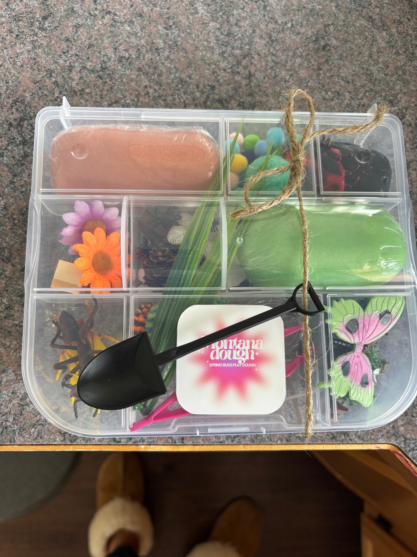 Spring Bugs Kit