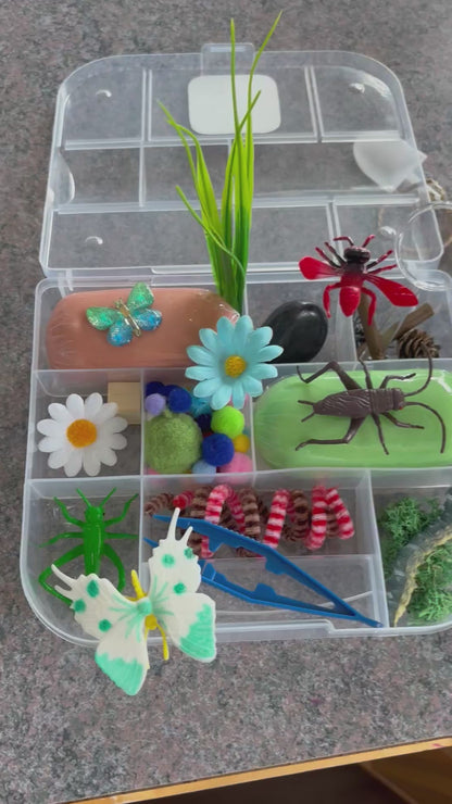 Spring Bugs Kit
